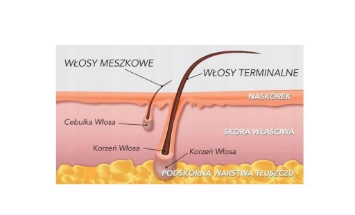 ItalWax FLEX Amber depilačný voskový valček (jantár), 100 ml
