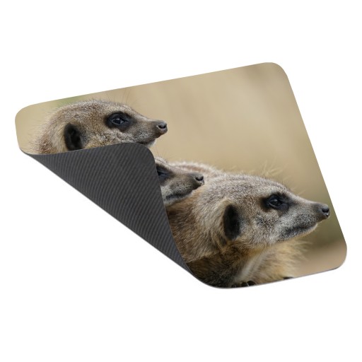 Podložka pod myš WILD ANIMALS MEERCAT