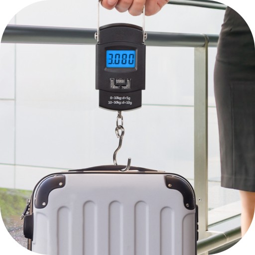 RYBÁRSKY HÁK NA DIGITÁLNU RUČNÚ BATOŽINU 50kg