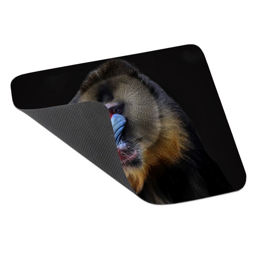 Podložka pod myš WILD ANIMALS BABOON