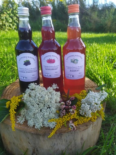 Egrešový sirup 100% BEZ KONZERVANTOV!!!