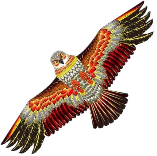 Kite Bird Eagle XXXL Odpudzovač vtákov s Link