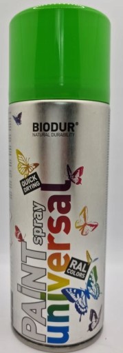 BIODUR 6018 farba v spreji 400 ml