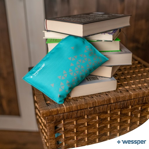 ABSORPTOR VLHKOSTI PRE AUTA 300g