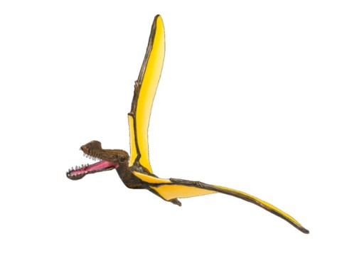 PTEROSAUR TROPEOGNATHUS Planéta zvierat 387375