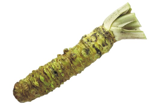 Wasabi pasta prášok zo zeleného chrenu sushi 100g