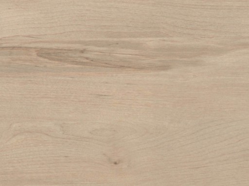 Schilsner ABS hrana X 35013 LN 22x0,8 Birch Ojców Schilsner (R35013)