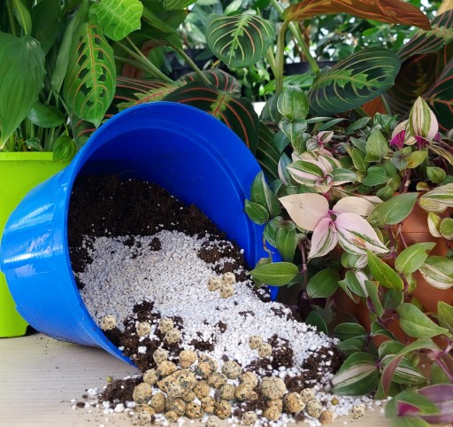Compo Sana substrát pre orchidey 5l