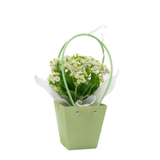 Flower Box Flower Bag Svadobné prijímanie ku dňu matiek ZELENÁ 3249