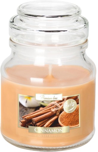 SMALL Vonná sviečka v dóze BISPOL Aura 28H CINNAMON