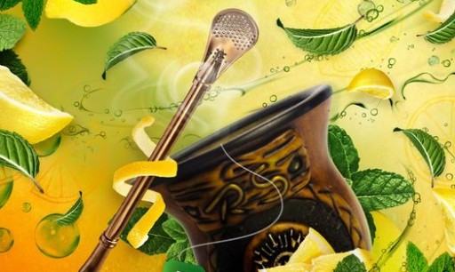 Yerba Mate Express čaj s mandarínkou 20 LOYD organických vrecúšok
