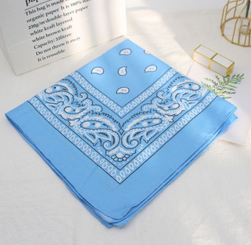 BANDAM SCARF BANDANA SCARF BLUE SCARF