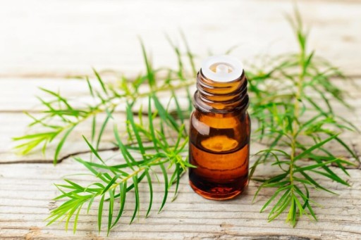 ÉTERICKÝ OLEJ TEA TREE 10 ML 100% ČISTÝ A PRÍRODNÝ