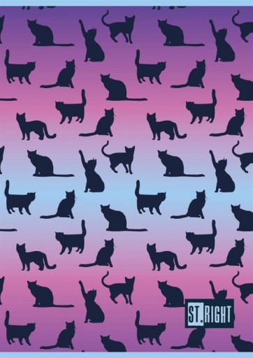 UNIPAP NOTEBOOK A4-32 ST.RIGHT CHECK - CATS