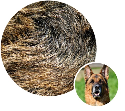 Kunagone Mole Repellent Mole Control 2-bal