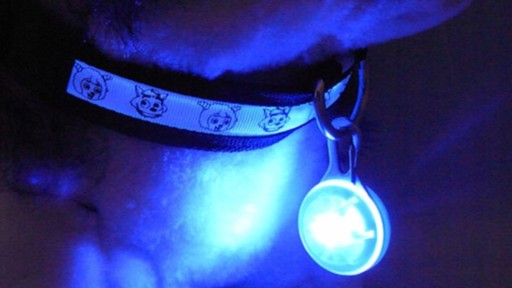 LED prívesok pre psa na obojku Keychain Keychain svieti