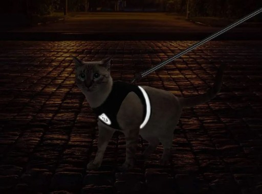 BEZTLAKOVÝ POSTROJ PRE VEĽKÉHO PSA A MAČKU, REFLEXNÝ M