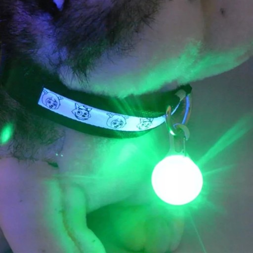 Svietiace LED svietidlo pre psov a mačky, 5 cm prívesok