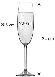CHARLIE TESCOMA POHÁR NA ŠAMPANSKÉ 220ml