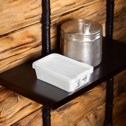 PLASTOVÝ KONTAJNER S VEKOM NA ÚLOŽNÝ BOX ORGANIZÁTOR 3,1L