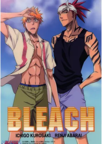 Anime Manga Bleach Plagát blh_037 A3