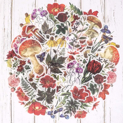 Nálepky na scrapbooking pre deti Rastliny Kvety