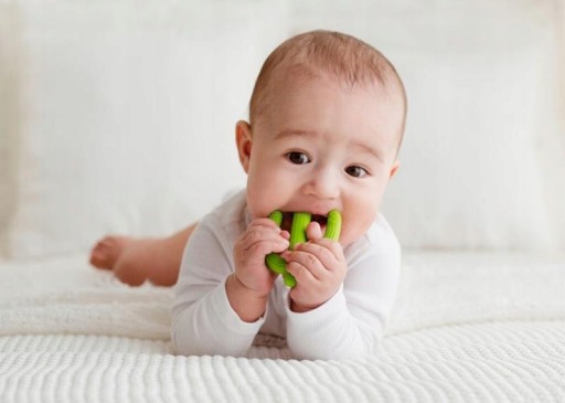 GiliGums DUMEL TEETHER ZUBNÁ KEFKA CACTUS