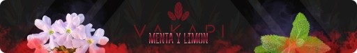 Yerba Mate Vakapi Menta Limon 50g elaborada 0,5 kg