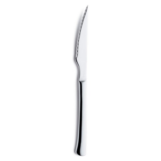 Steakový nôž 20,2 cm, oceľ 18/10 CHULETERO AMEFA