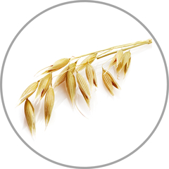 WAX PILOMAX Hypoalergénny šampón MED 10 ml