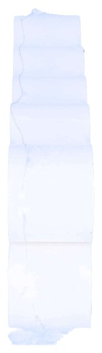 Termopapier rolka do pokladničného terminálu 38x30m 10 KS DRESCHER