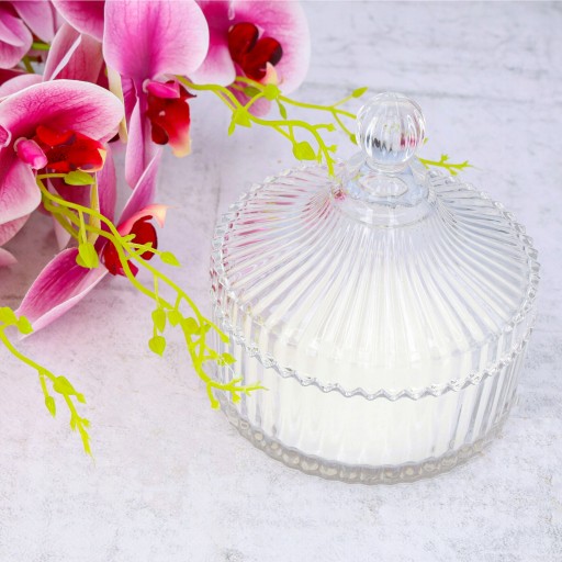 CARNÍK CARNÍK veľká 550 ml sklenená nádoba na cukor do kuchyne