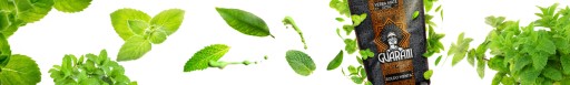 Yerba Mate Guarani Boldo Menta 0,5 kg 500 g