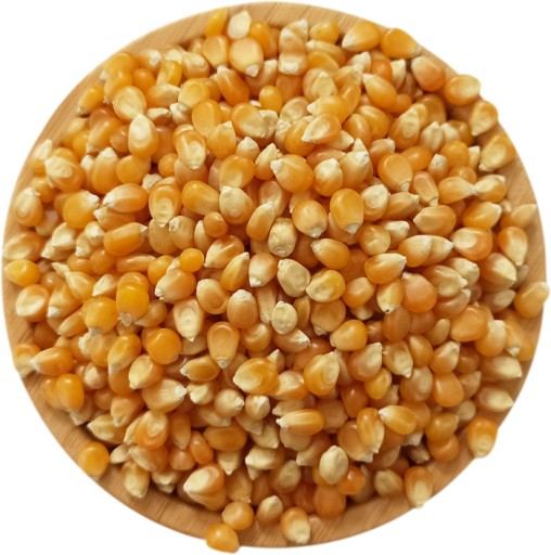 SET x2 kukuričné zrná POPCORN na pečenie 1Kg