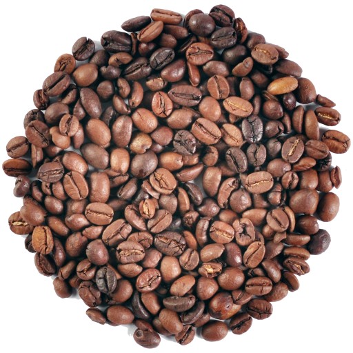 ARABICA SANTOS - BRAZIL Classic Coffee - 100g