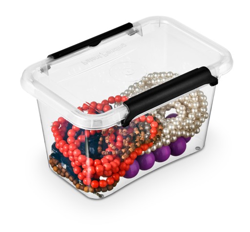 Priehľadná plastová nádoba s vekom 0,65L Box Organizer Box