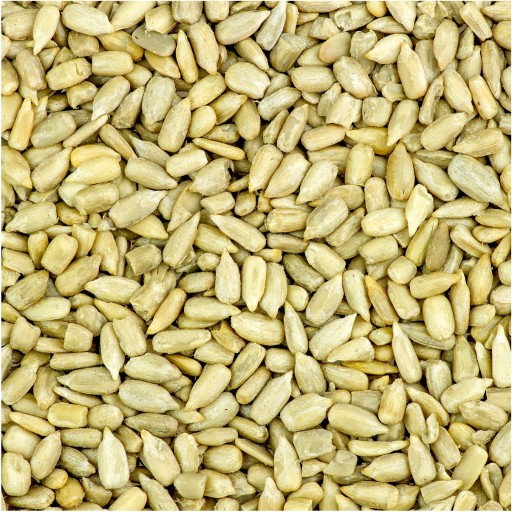 LÚPANÉ slnečnicové semienka 500g HiFOOD nesolené nepražené PREMIUM