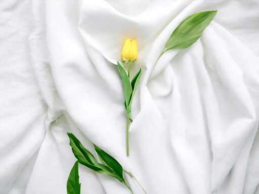 SILIKÓNOVÝ TULIPÁN AKO ŽIVÝ UMELÝ GUMOVÝ KVET PRE ŽLTÉ UMENIE