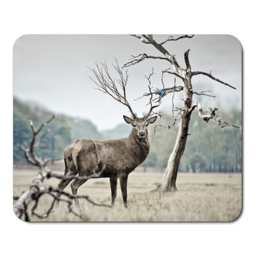 Podložka pod myš WILD ANIMALS DEER