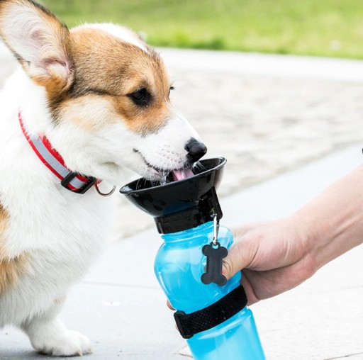 Turistická FĽAŠA pre psa, FĽAŠA na prechádzku, 500 ml