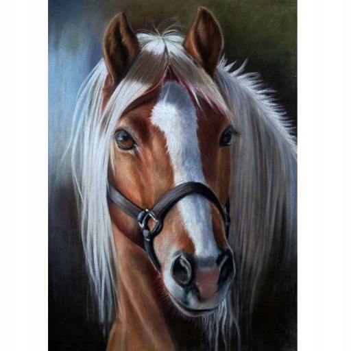 OBRÁZOK Diamantová výšivka HORSE Diamantová mozaika HORSES Diamantový obraz 30x40cm