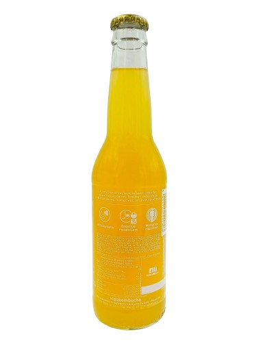 VIGO KOMBUCHA ORIGINÁL 330ml ČAJ NÁPOJ