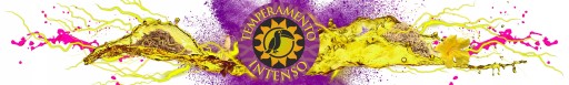 Yerba Mate Green Temperamento Intenso Ginseng 200 g