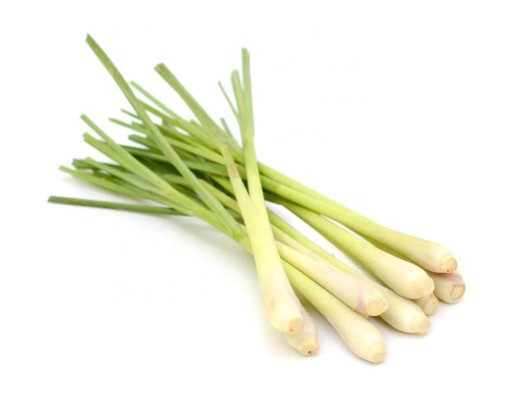 ESICIÁLNY OLEJ CITRONOVÁ TRÁVA 10 ML 100% PRÍRODNÁ A CITRUSOVÁ VÔŇA