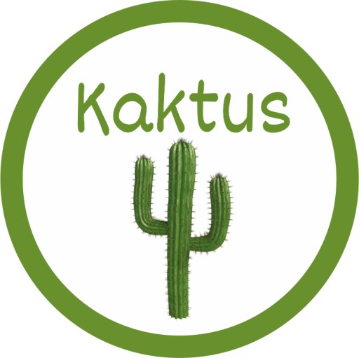 Cukor na cukrovú vatu Kaktus 1kg Kaktusová zelená farebná Suchá