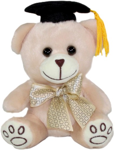Maskot Teddy Bear School Graduate s mažiarom a lukom - 12 cm