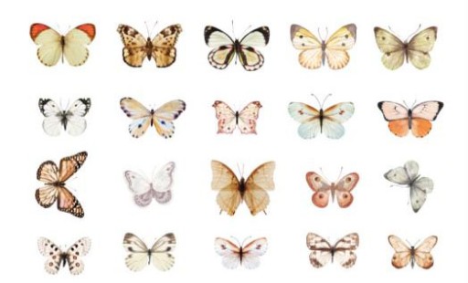 Samolepiace nálepky na scrapbooking s motýľmi