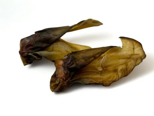 Eurokolagén - Honey Beef Ear Gat 2 - Prírodná maškrta pre psa