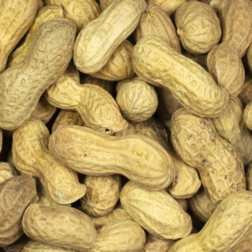 ORECHY Arašidy 500g Arašidy