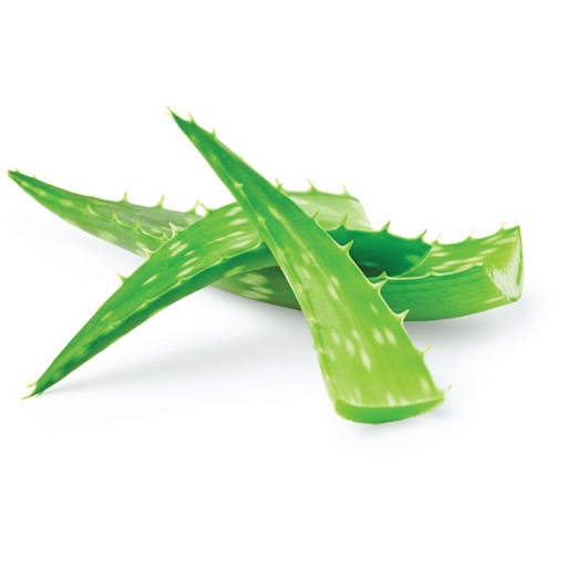 Šťava z listov aloe (kozmetická surovina) 50 ml